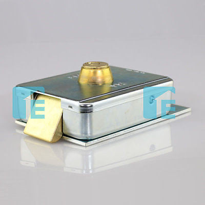 FAAC 12V Electronic Gate Lock With Receiver Slot Plate