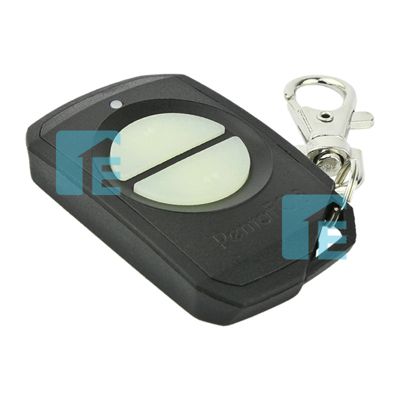 Elsema Pentafob 2 Button Black Remote FOB43302B