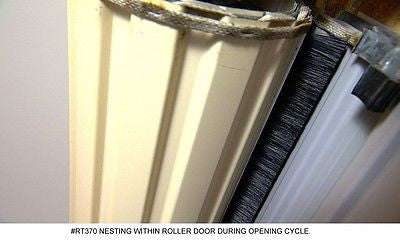 Cinderseal Kit Suit Garage Roller Door 5000w 60mm Brush FTD